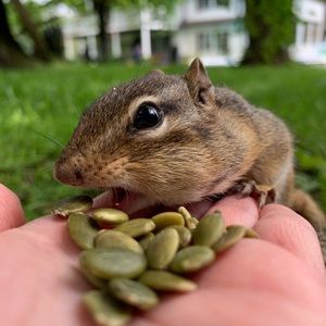 Meet your Posher, Taylor